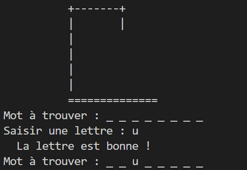 Capture du projet pendu